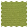 Sage Green 19