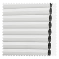 White 01