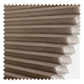 Brown 01