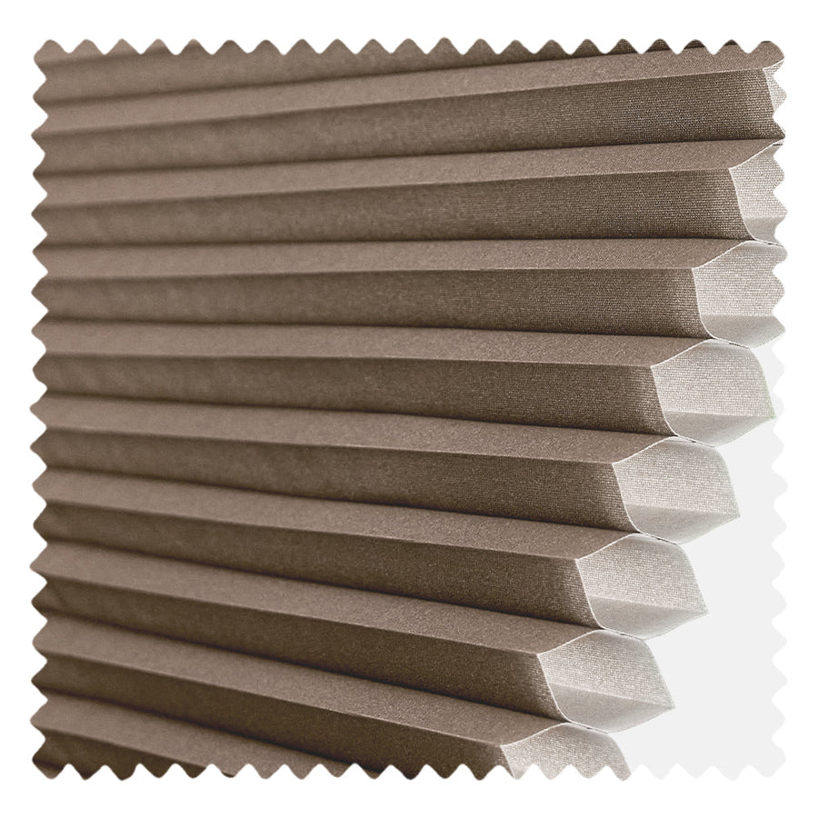 Brown 01